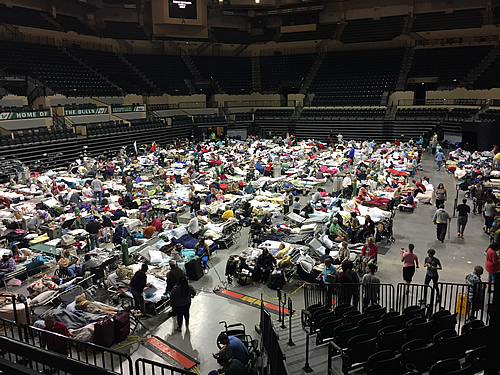 University of South Florida Sun Dome set up into a special needs shelter