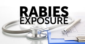 Rabies Exposure