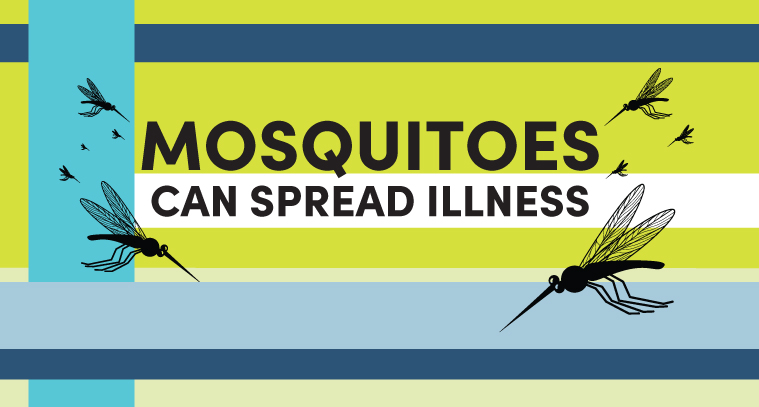 Graphic reading: mosquitoes can spread illness